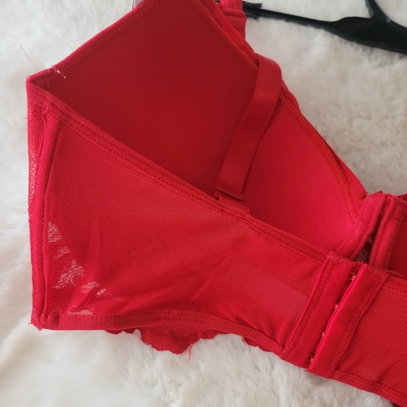 💋DAISY FUENTES BRAND NEW HIGH APEX LACE BRA SIZE 40C - Picture 6 of 11